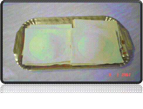 DSC01607