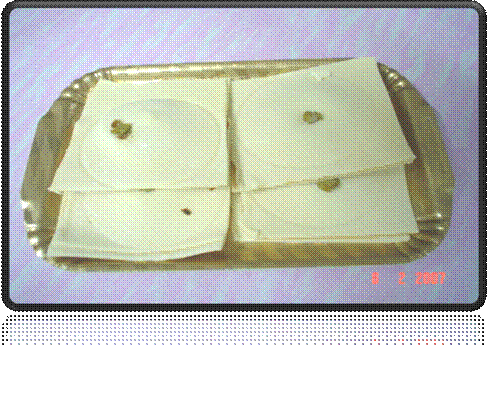 DSC01610